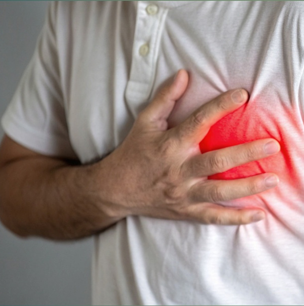 Heart Muscle and Heart Failure