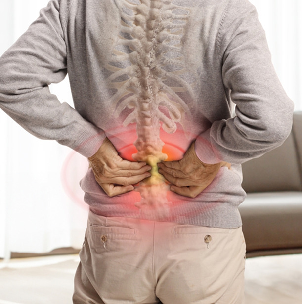 spine-conditions