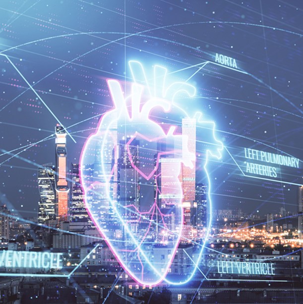 Structural heart programme