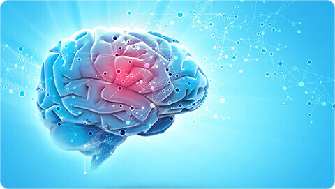 apollo-brain-central-nervous-system