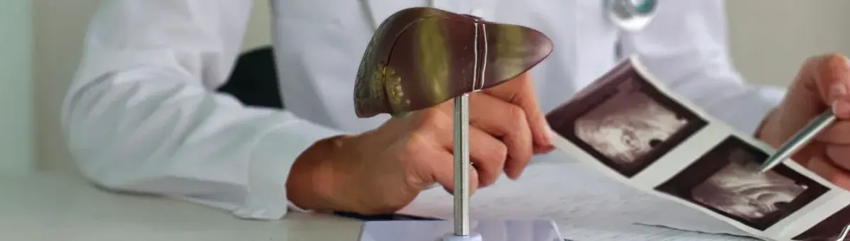 Abnormal Liver Function Tests - Causes, Symptoms, and Treatment