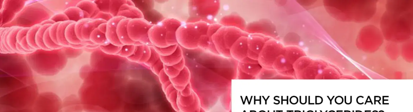 Triglycerides: Everything You Need to Know