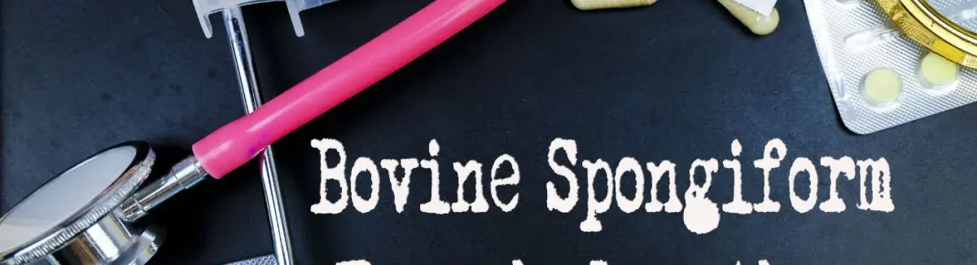 Bovine Spongiform Encephalopathy (BSE)