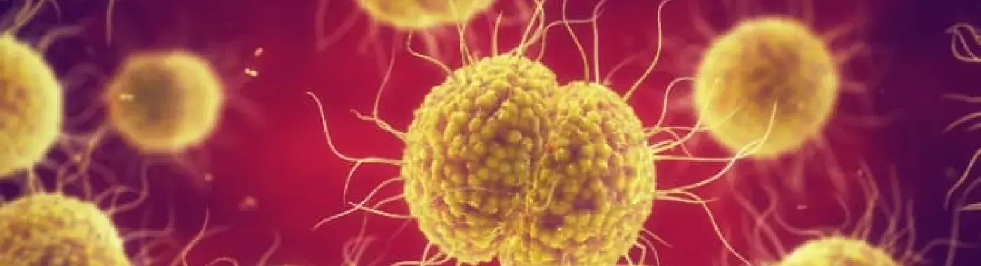 Gonorrhea : Causes, Symptoms, Diagnosis, Treatment, Prevention, Risk Factors and Complication