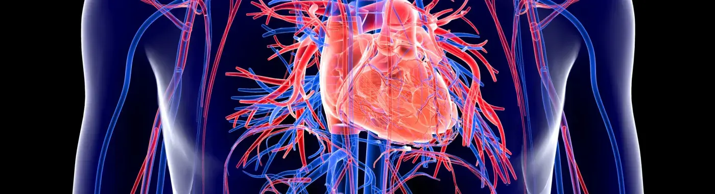 Transposition of Great Arteries