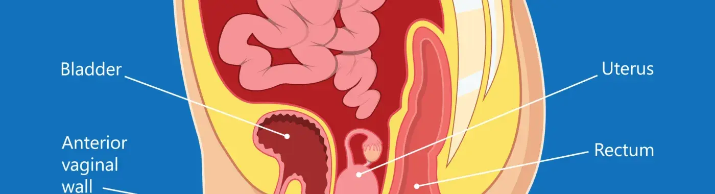 Balto porno Eringizni aldash haqida onlayn porno tomosha qiling