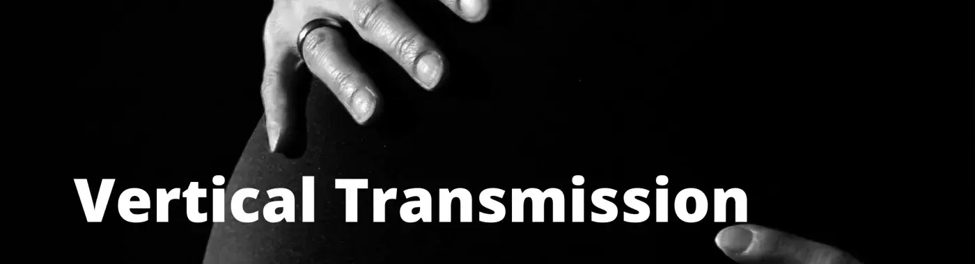 Vertical Transmission – An Overview