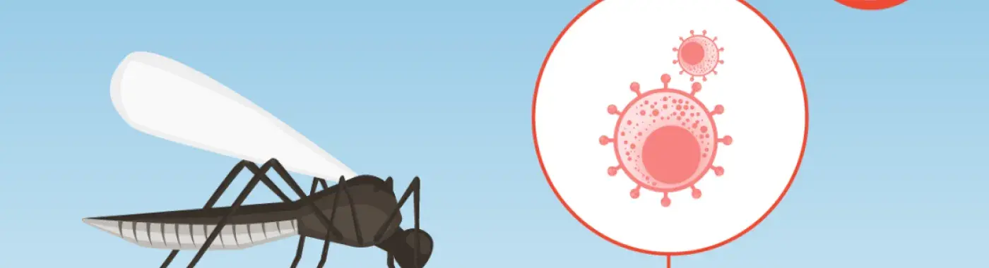 டிமென்ஷியா