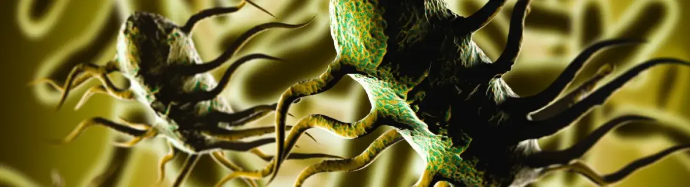 Listeria Monocytogenes: Symptoms, Treatment, Prevention &amp; Risk Factors