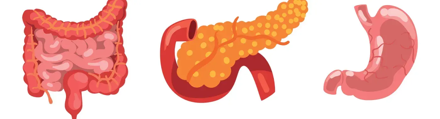 Multiple Endocrine Neoplasia, Type 1 [MEN 1]
