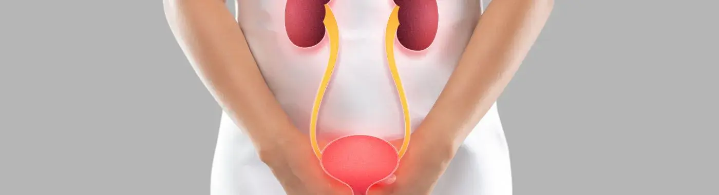 Acute Cystitis - Causes, Symptoms, Diagnosis, Treatment, and Prevention