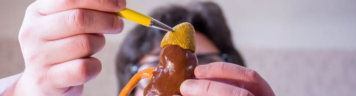 Adrenal Adenoma - Causes, Symptoms, Diagnosis, Treatment, and Prevention