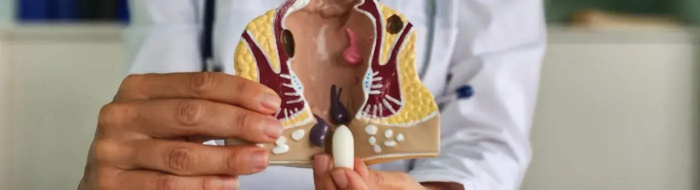 Anal Cancer - Early Signs, Risk Factors, Diagnosis, and Treatment Explained