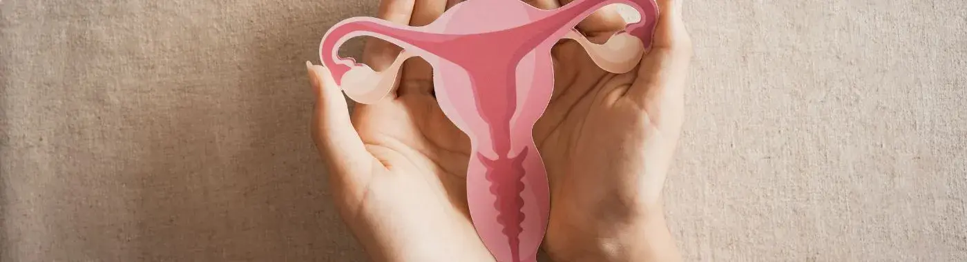 Arcuate Uterus - Causes, Symptoms, Diagnosis, Treatment, and Prevention