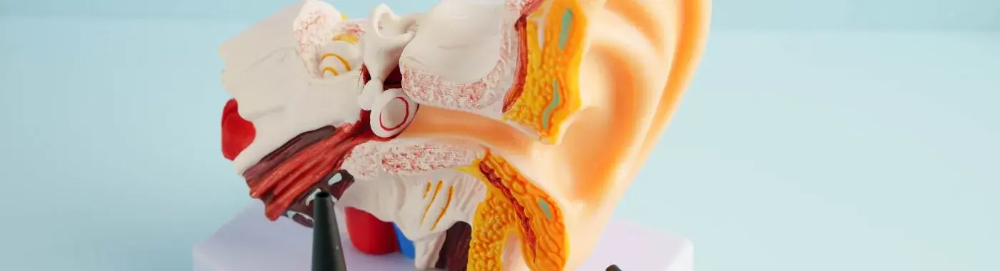 Bullous Myringitis - Causes, Symptoms, Diagnosis, Treatment, and Prevention