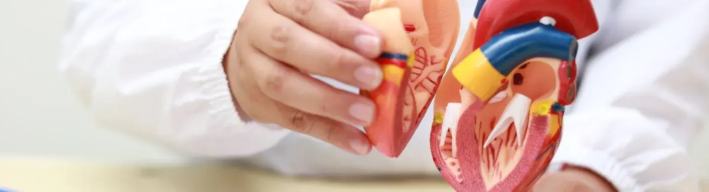 Cardiac Cachexia - Causes, Symptoms, Diagnosis, Treatment, and Prevention