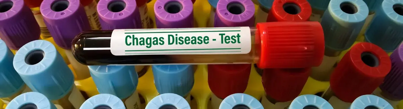 Chagas Disease