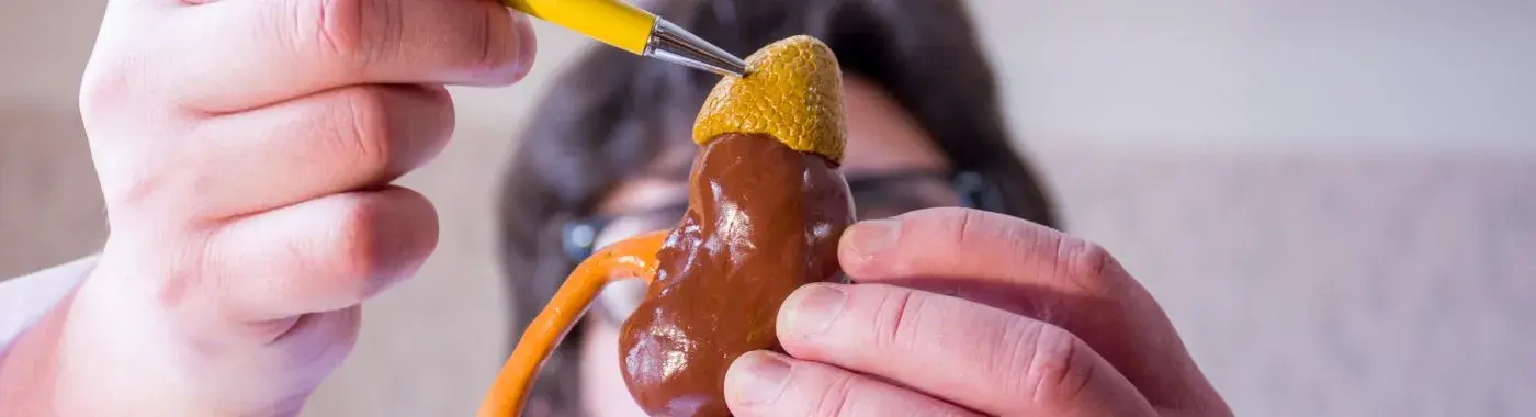 Conns Syndrome - Causes, Symptoms, Diagnosis, Treatment, and Prevention