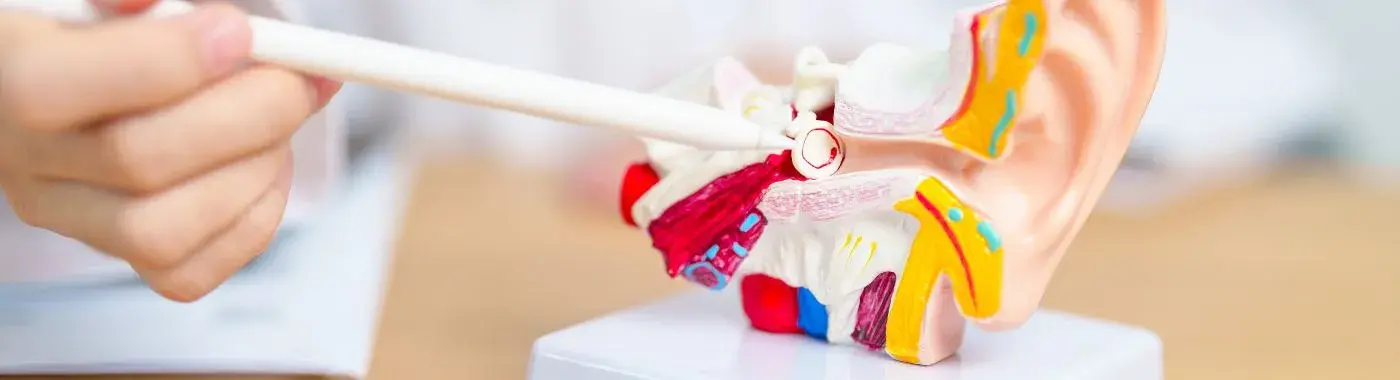 Otitis Media - Causes, Symptoms, Diagnosis, Treatment, and Prevention