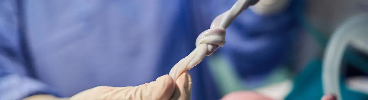 Urachal Remnant - Causes, Symptoms, Diagnosis, Treatment, and Prevention