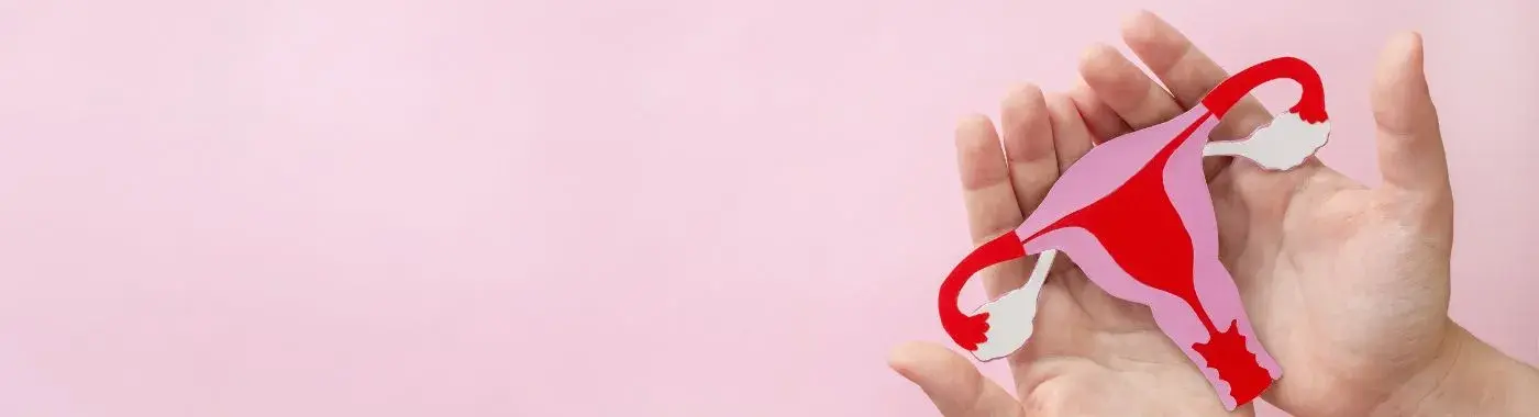 Uterine Cancer - Early Signs, Risk Factors, Diagnosis, and Treatment Explained