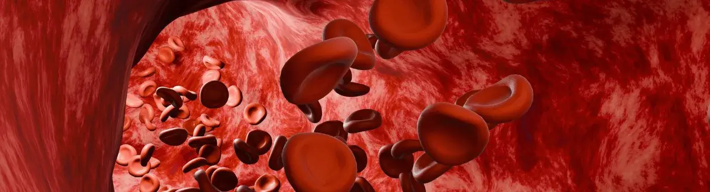 Evans Syndrome - Causes, Symptoms, Diagnosis, Treatment, and Prevention