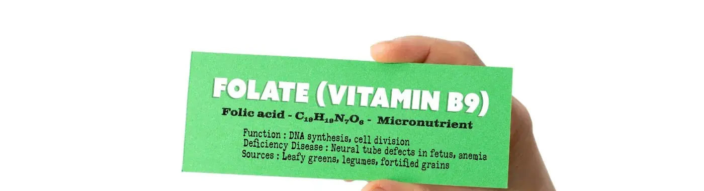 Folate Deficiency - Causes, Symptoms, Diagnosis, Treatment, and Prevention