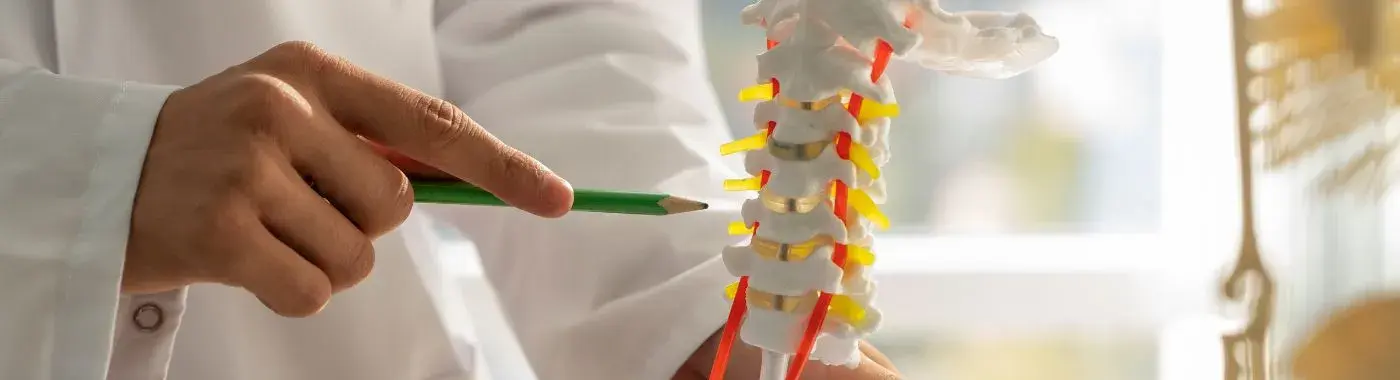 Kyphosis - Causes, Symptoms, Diagnosis, Treatment, and Prevention