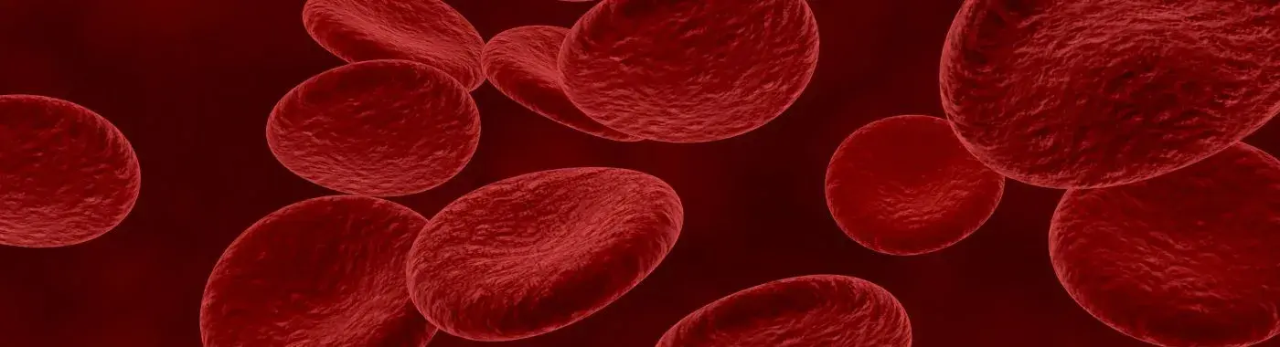 Macrocytic Anemia - Causes, Symptoms, Diagnosis, Treatment, and Prevention