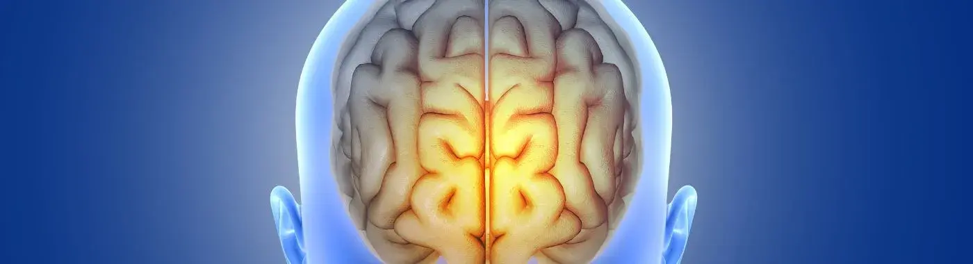 Megalencephaly - Causes, Symptoms, Diagnosis, Treatment, and Prevention