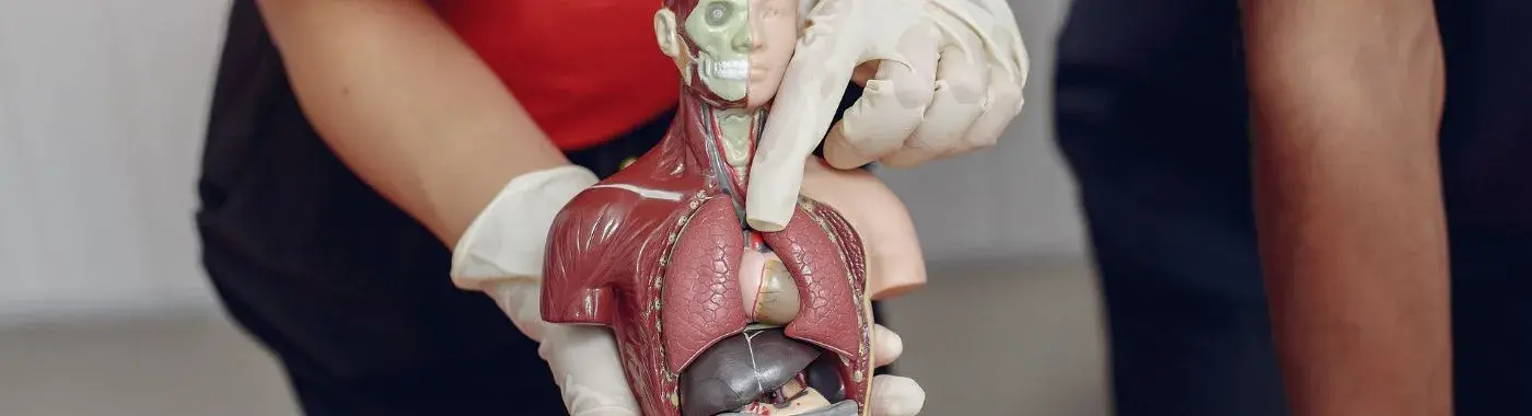 Multiple Organ Dysfunction Syndrome - Causes, Symptoms, Diagnosis, Treatment, and Prevention