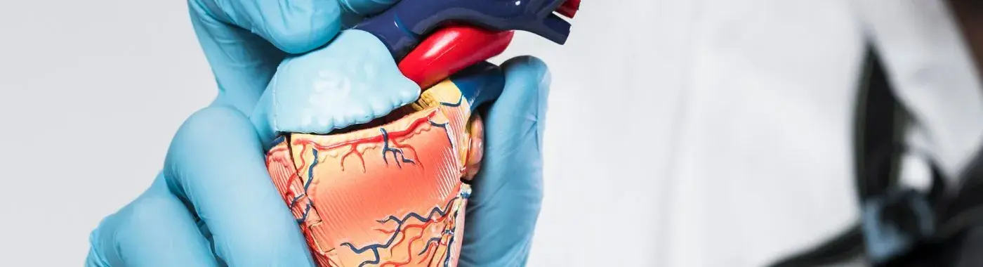 Myxoma - Causes, Symptoms, Diagnosis, Treatment, and Prevention