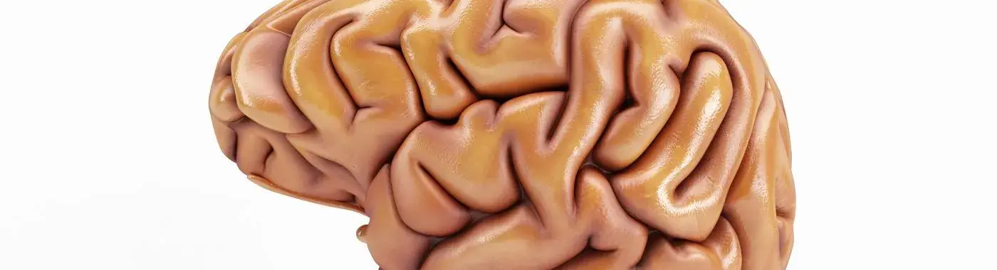 Prion Disease - Causes, Symptoms, Diagnosis, Treatment, and Prevention