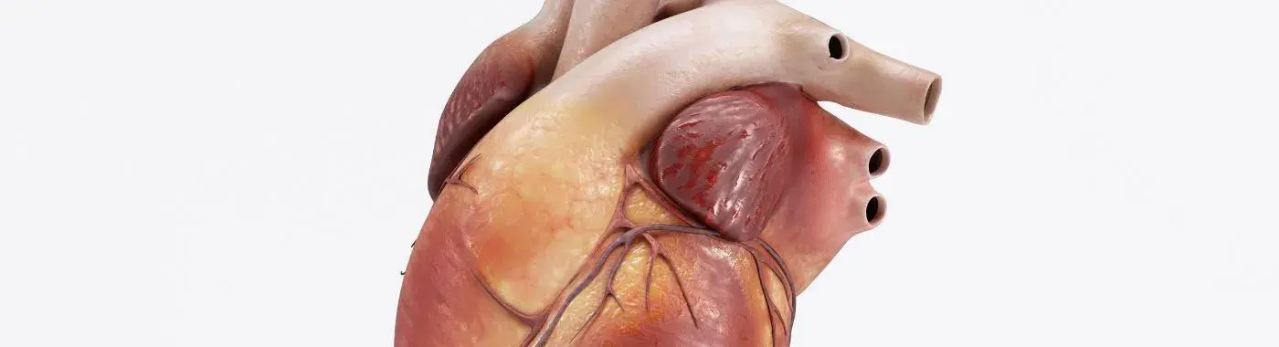 Vasospasm - Causes, Symptoms, Diagnosis, Treatment, and Prevention