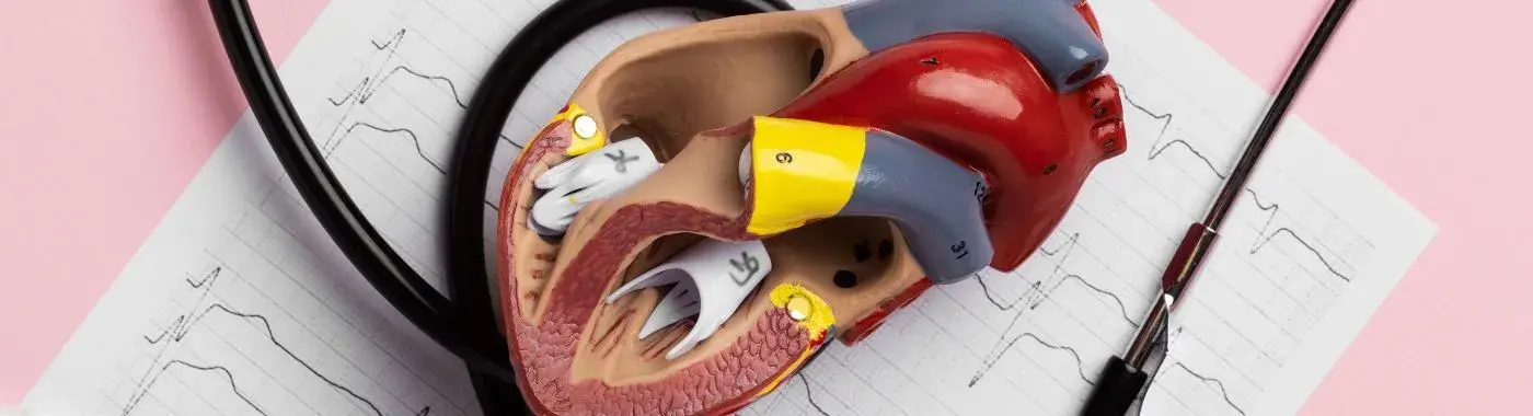 Ventricular Septal Defect