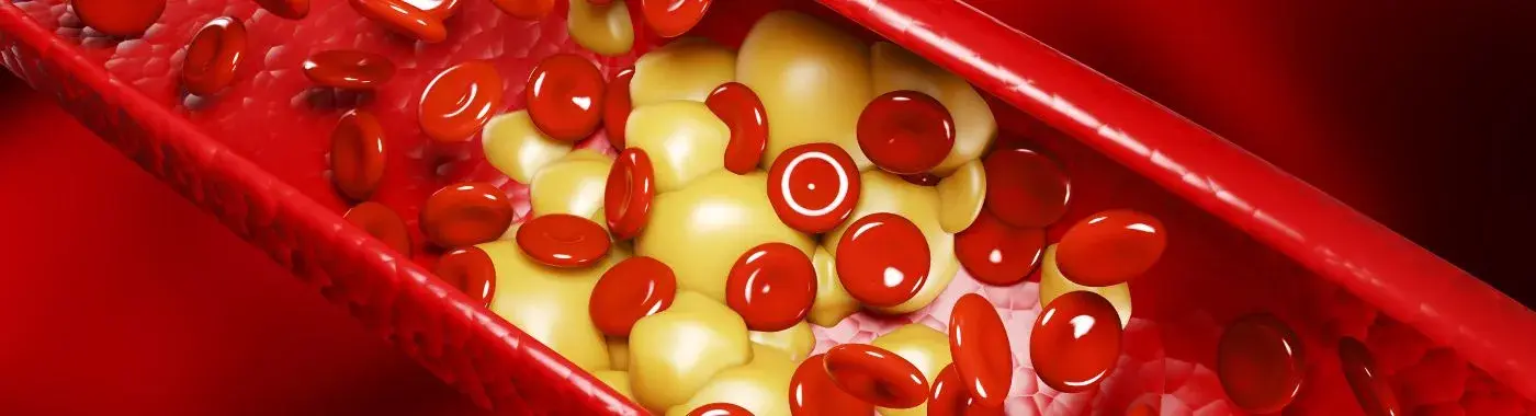 High blood protein