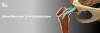 Bone Marrow Transplantation