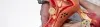 Episiotomy - Procedures, Preparation, Cost, and Recovery