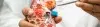 Kidney Biopsy - Procedures, Preparation, Cost, and Recovery