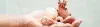 Organ Transplant - Procedures, Preparation, Cost, and Recovery