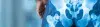 Total Hip Replacement (THR) - Cost, Indications, Preparation, Risks, and Recovery