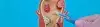 Aesthetic and Reconstructive Surgery
