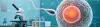 Artificial Insemination - Cost, Indications, Preparation, Risks, and Recovery