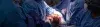 Cesarean Section