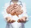 Neuroscience image