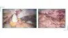 Ovarian Transpositions in Pelvic Cancers  For Life Beyond Cancer